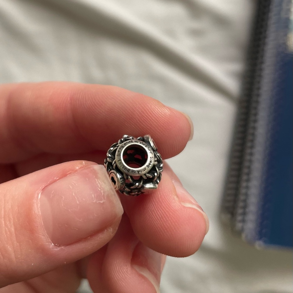 Silver Charm Pandora - Picture 3 of 3